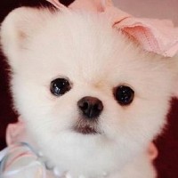 宫锁心玉:四福晋整天疑神疑鬼的,怀疑四阿哥在