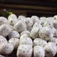 情人迷原唱王琪看到本人了吧!收藏关注666