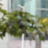 邻家大叔为了小女孩竟然不顾一切 5分钟看完电