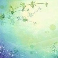 OWL守望先锋联赛:首尔王朝vs上海龙精彩瞬间