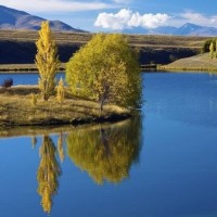 男子挑战秒喝大瓶装饮料,结果下一秒笑喷我了