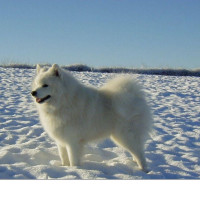 凯音乐:《我愿化作相思雨》点点滴滴落在你心