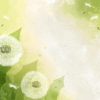 如果你只看操作这个亚索属于什么段位