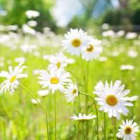 汪汪队盒蛋食玩迷你厨房玩具 汪汪队玩具视频