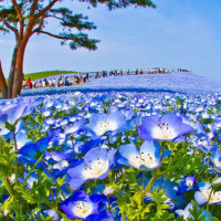 美女一首《拥抱你离去》,不爱的保重,难爱的却