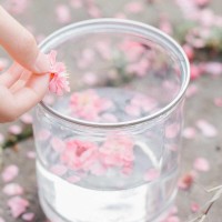 明星手机壳里的小秘密:杨幂竟贴的是女儿名字