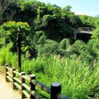 44岁林志玲穿包臀紧身长裙现身,凸起小肚腩给