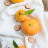 星爷你耍人套路深, 还一本正经开玩笑还要有理