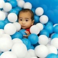 小宅 饥饿鲨世界26期 特殊地图 港口