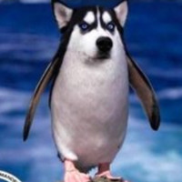 烈火如歌花絮:迪丽热巴周渝民放飞自我不能停