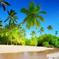 日本灾难电影:超级火山10级大地震海啸,有可能