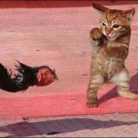 励志电影混剪,送给追梦的你