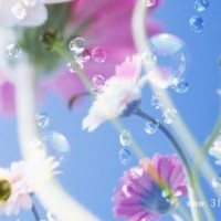 《小伶玩具》乐高积木幽默动画短片警察故事系