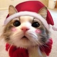 美女如云之国际闲人隐形内衣泳装模特大赛时尚