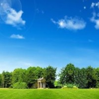 父母离婚分家产,竟然都不要女儿,太扎心了