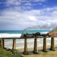 身高两米体重280斤黑色巨人遭中国小伙一拳K