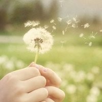 绝地求生:这个主播是不是外挂?一支穿云箭头条