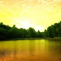 青蛙偷吃馅饼就要杀头,红皇后这么生气全因小