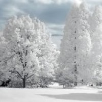 绝地求生痴鸡小队第二季,空投砸脸,这呆鸡不