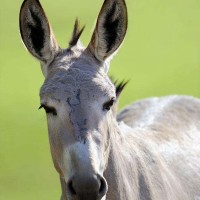 我的前半生:罗子君卖鞋被冷嘲热讽,一波操作直