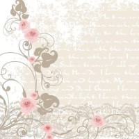 江苏90后女孩农村养猪,投资2000万养400头猪