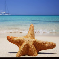 绝对经典,李宗盛理性与感性演唱会,都听醉了!