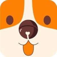 武林风方便2015最新比赛视频KO对手比赛 l