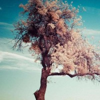 四川方言 斗地主 两女一男不服就彪歌 够泼辣