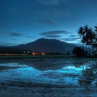 中国好声音导师谢霆锋庾澄庆同台合唱加州旅馆