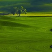 千金归来:长清与继母同时参加慈善晚会,这一招