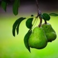 白小白编舞中国风爵士舞《落花》