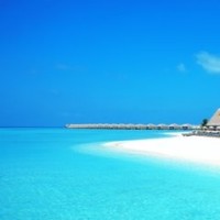 宝莲灯为三界之中的顶级法宝 连五极战神都不