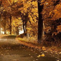 车上有霜雾怎么办?这个方法教你怎样去除汽车