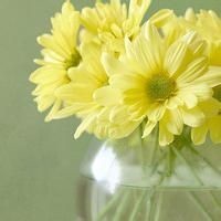 《非诚勿扰2》片尾曲竟然是三味真火演唱的这