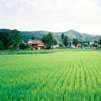 至今无人能够超越的潘迎紫一代女皇主题曲