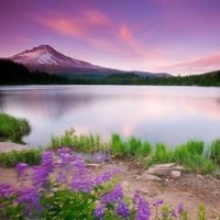 杨洋与众女神合照,只有与郑爽合照,杨洋才非常