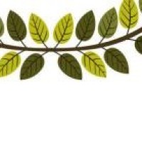 埃及总统大选,足球明星穆罕默德萨拉赫受到民