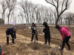 潍坊奎文开展殡葬领域突出问题专项整治