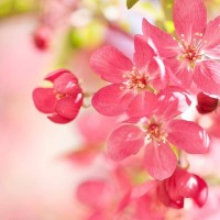 放羊的星星大结局:欧雅若终于明白天骏的爱,这