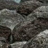 致敬经典!周润发唱友谊之光致敬《监狱风云》