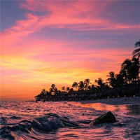 宝宝玩发条动物滑滑梯学习动物名称 少儿英语