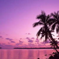 我的爱会一直像天使守护你,美女唱的非常动情