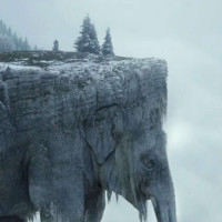 你知道为什么黄子韬撩开了杨幂的额头 他俩却