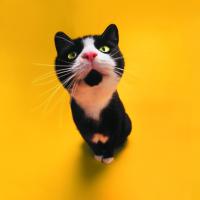 600分优异成绩考入了蓝翔技校,却不知如何选专