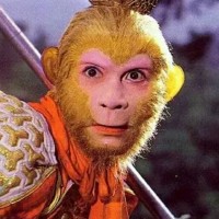 欧美男团最佳歌曲,西域男孩,后街男孩歌曲都在