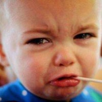 有趣的大公鸡老母鸡搞笑视频 特逗