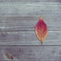 两个男子玩石头剪刀布,结局竟是这样的,真有意