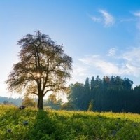 几乎90后都听过这首歌,属于90后的回忆,再一次