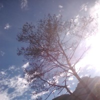 完全被刘恺威的歌声征服了,一首《慢慢》听得