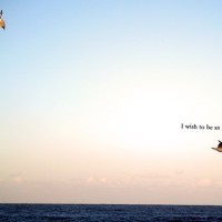 我是大侦探:马思纯上演最美中国风,唱跳俱佳!